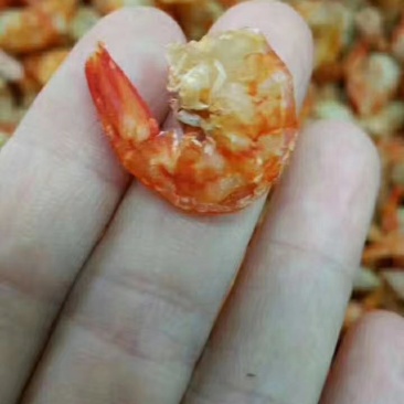 金钩海虾米