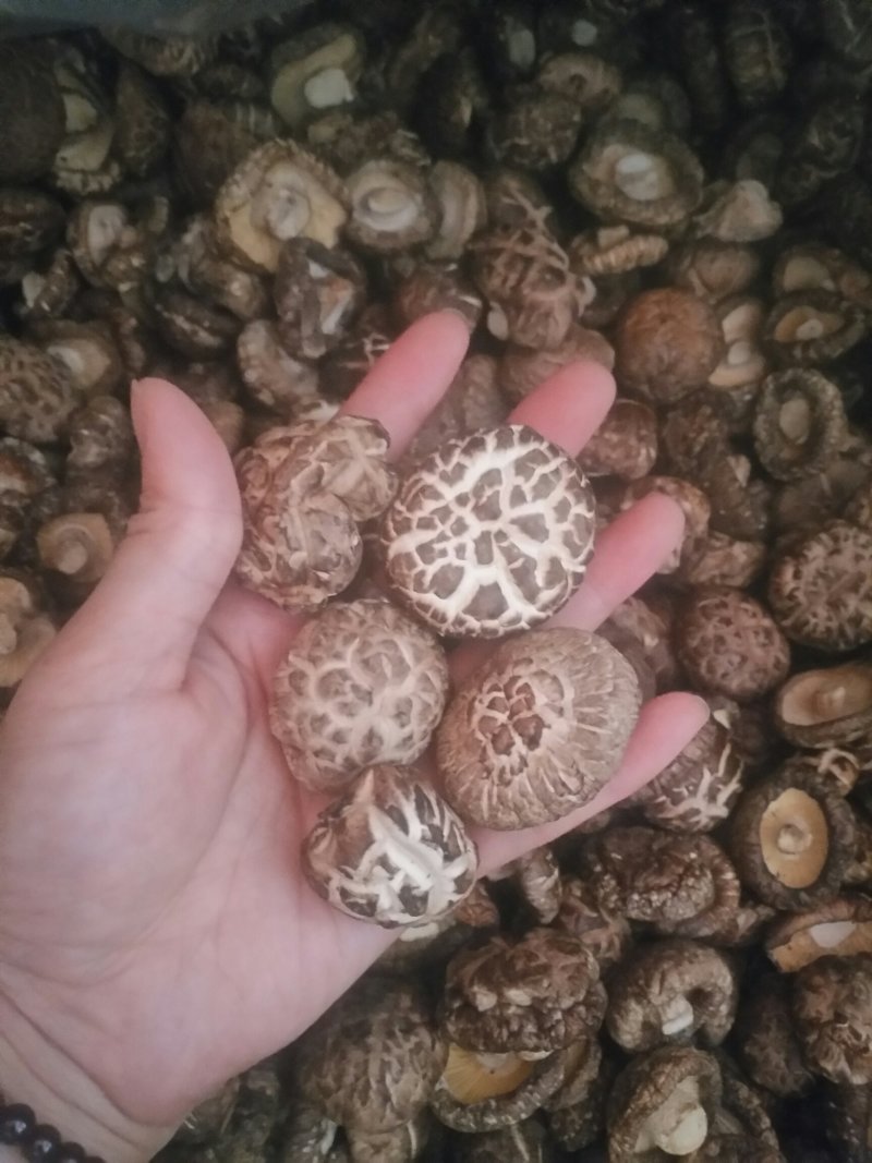 鲜花菇，花菇，新货花菇，剪脚花菇，花面香菇，干花面菇，