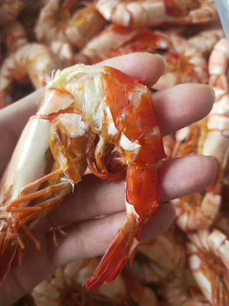 大斑节虾干