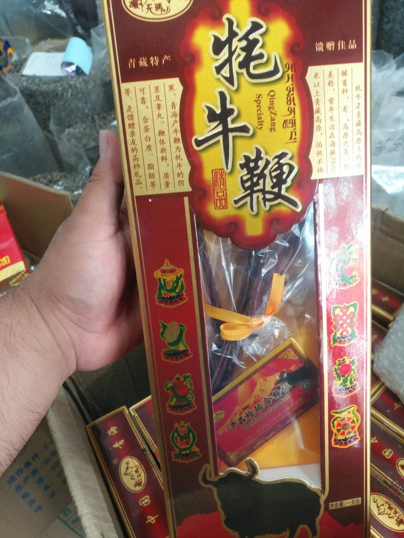 牛鞭干泡酒壮阳补肾青藏高原滋补佳品