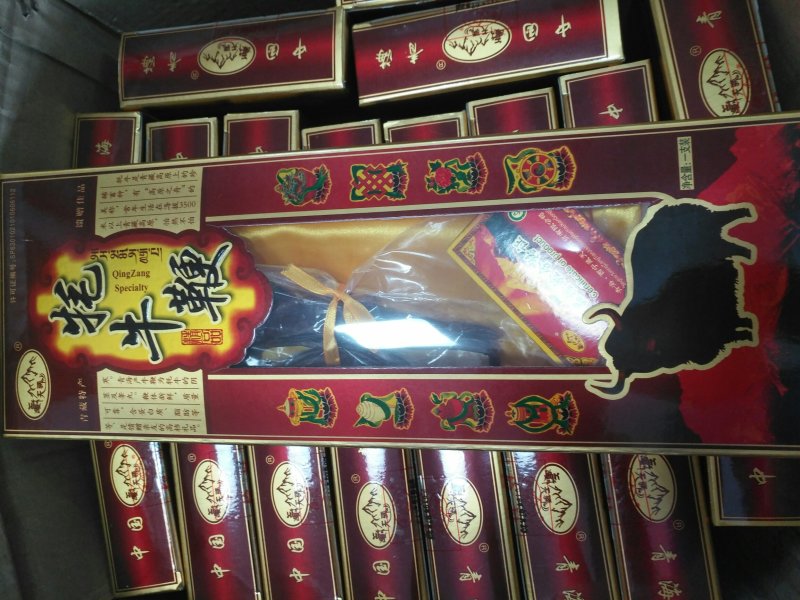 牛鞭干泡酒壮阳补肾青藏高原滋补佳品