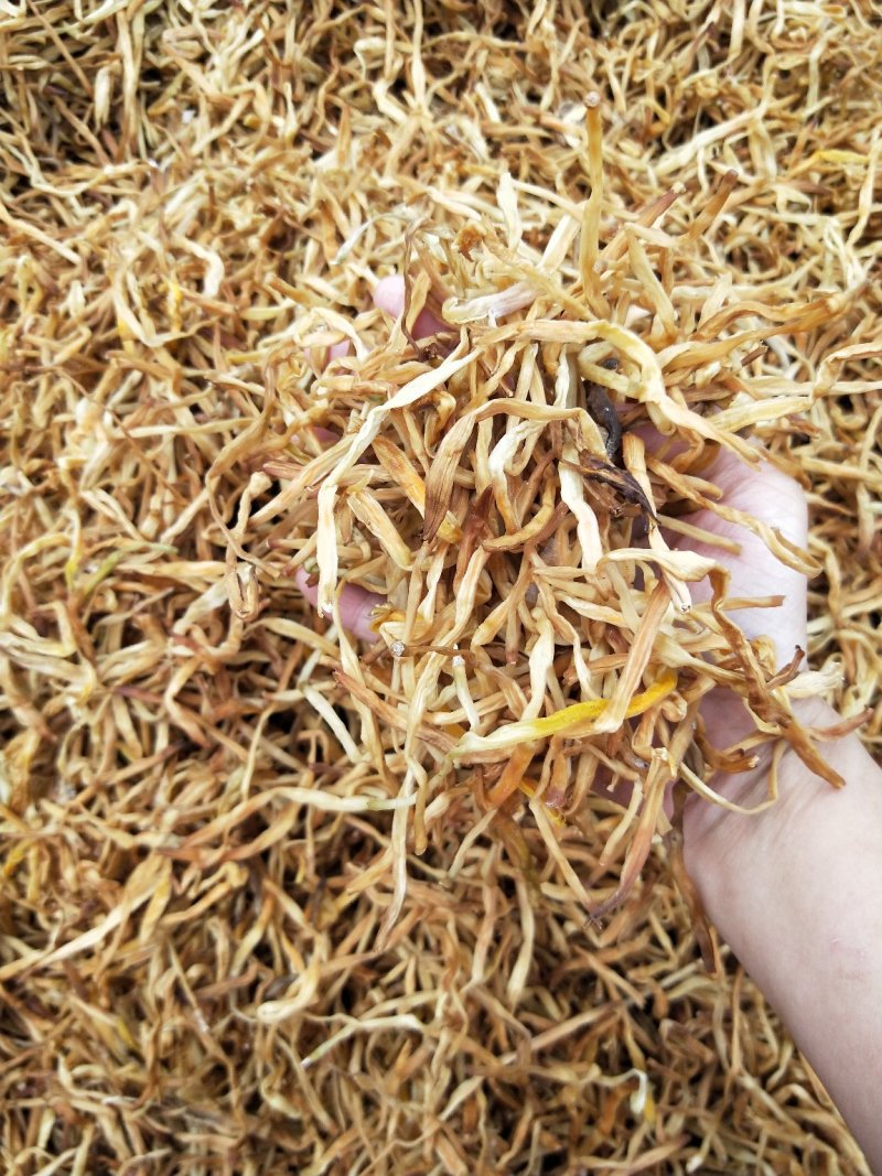 祁东干黄花菜产地货源，量大从优