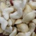 菱角菱米大量上市，欢迎采购