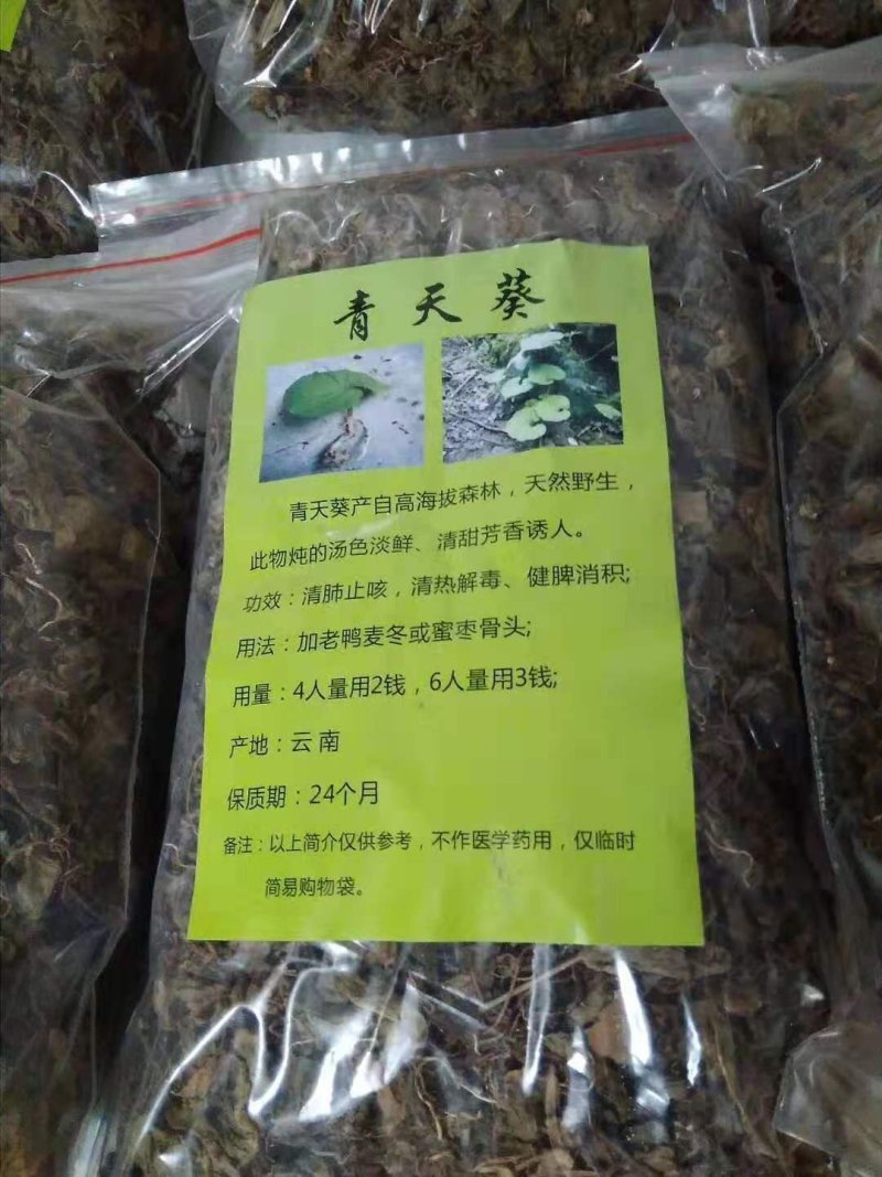 青天葵，纯野生，一手货源，货源稳定，批发