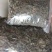 青天葵，纯野生，一手货源，货源稳定，批发