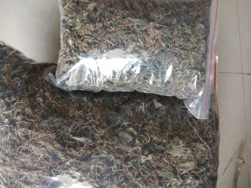 青天葵，纯野生，一手货源，货源稳定，批发