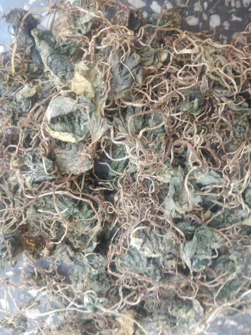 青天葵，纯野生，一手货源，货源稳定，批发