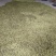 老熟大天冬种子，欢迎订购