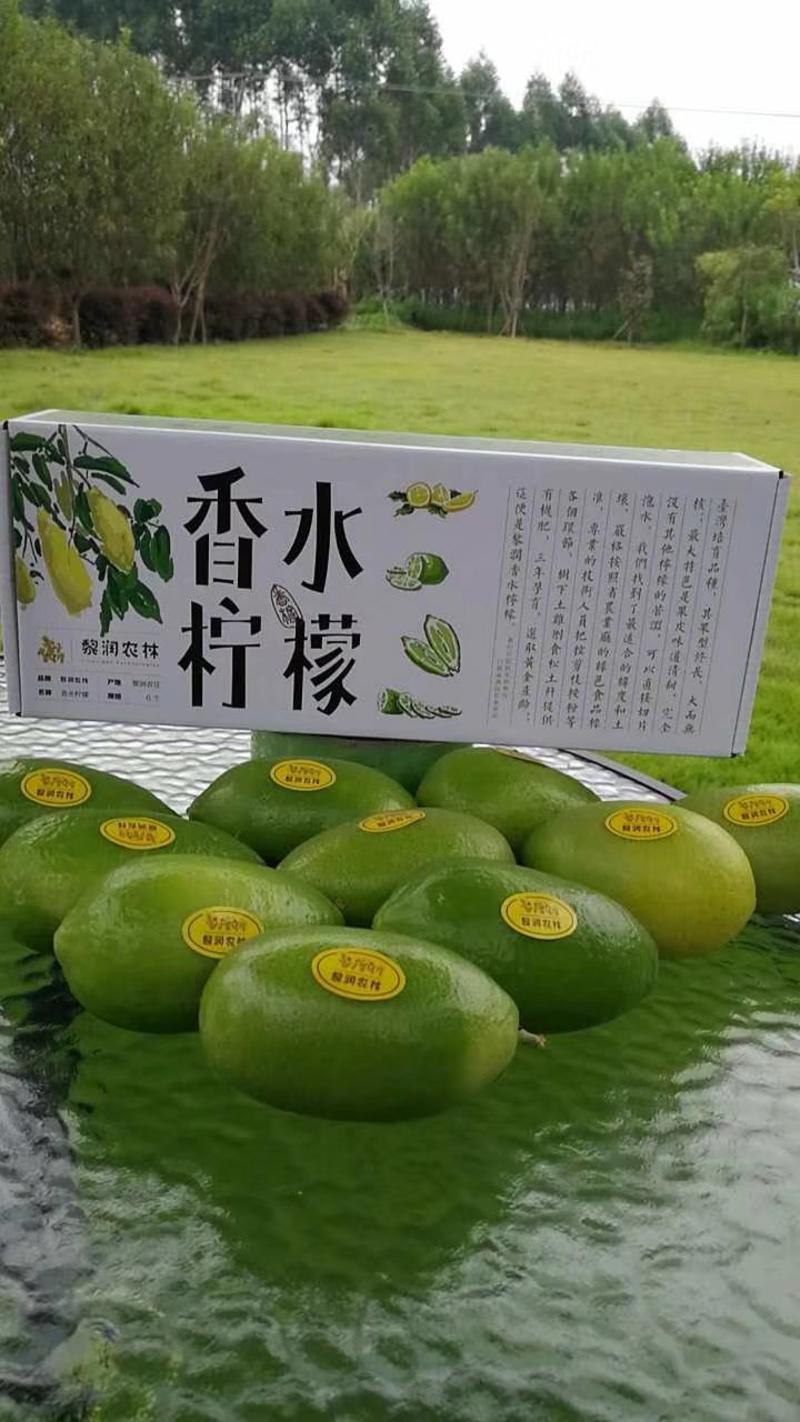 批发自产海南香水柠檬，自有农场，无籽多汁。