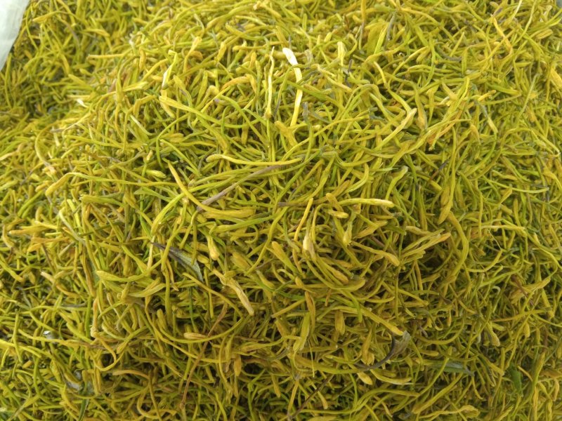 金银花茶