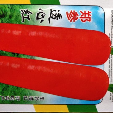 种子透心红....红萝卜