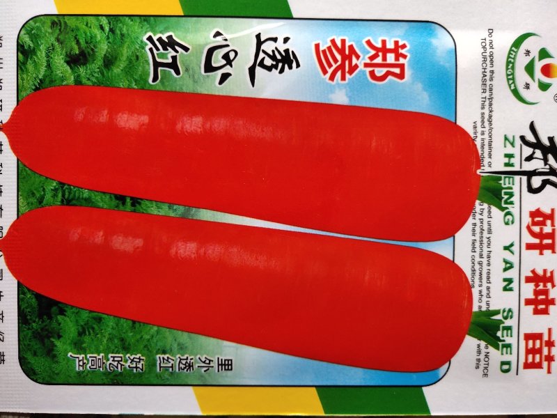 种子透心红....红萝卜