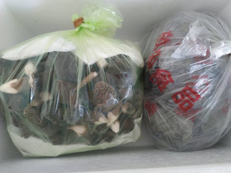 食用菌，蘑菇鸡枞菌，黑皮鸡枞菌，新鲜，一件代发，基地直供