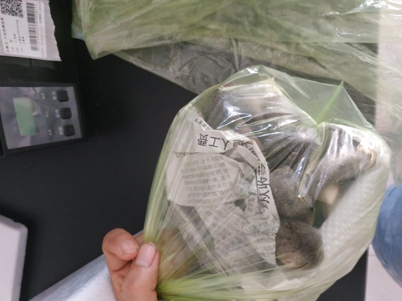 食用菌，蘑菇鸡枞菌，黑皮鸡枞菌，新鲜，一件代发，基地直供