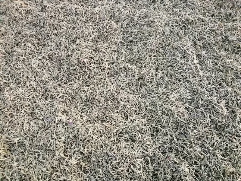 普洱茶秋茶