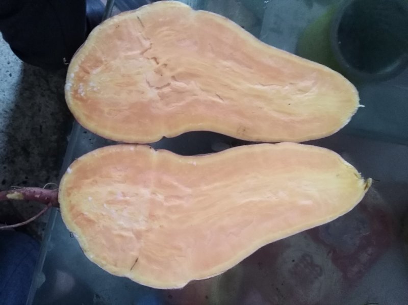 红薯