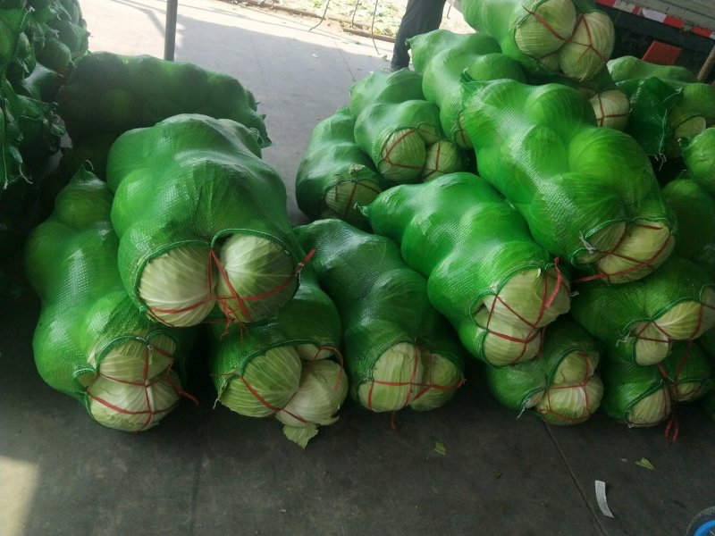精品奥奇娜通货
