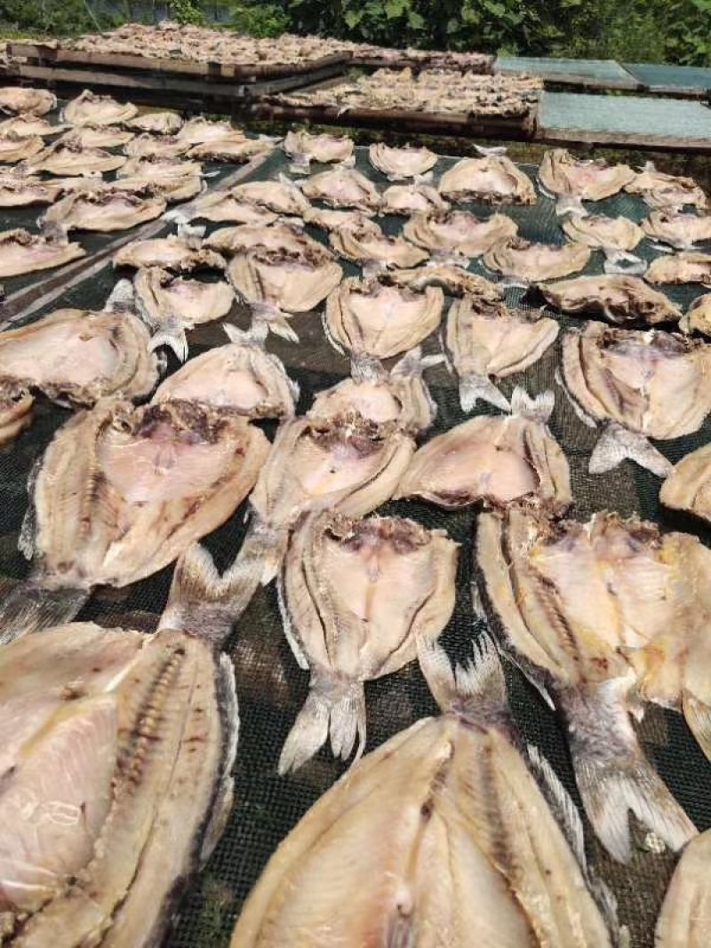 淡水鲤鱼干中咸大小鲤鱼干咸鱼干腊鱼干带盐