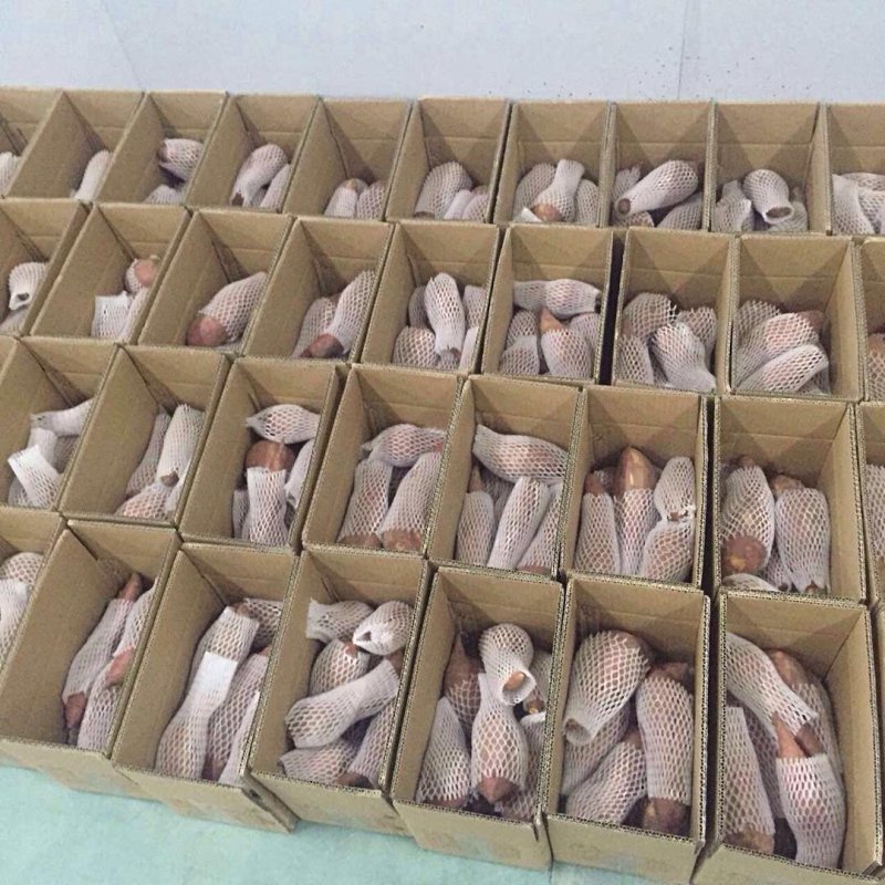 电商一手货源沙土地板栗红薯3斤5斤10斤支持远程代发