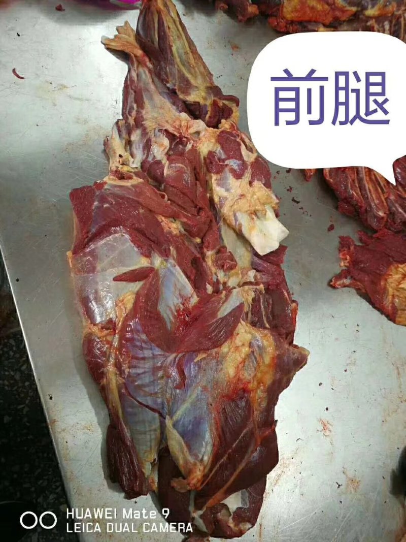 蒙古精品马肉