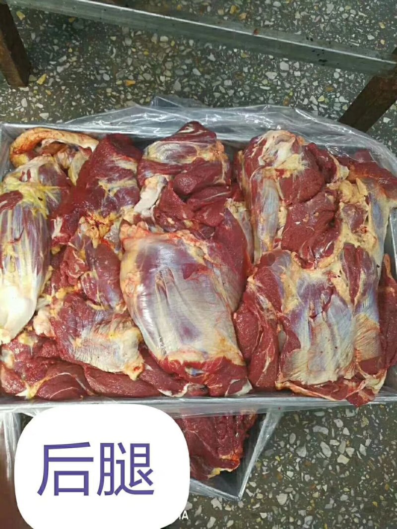 蒙古精品马肉