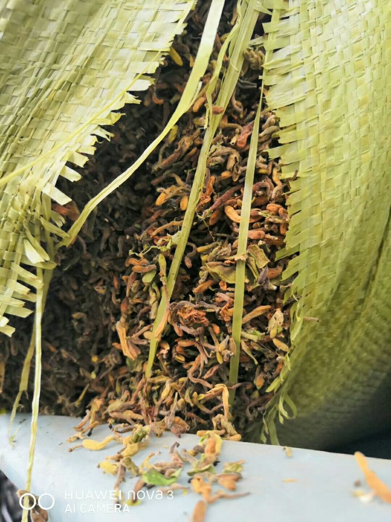 金银花