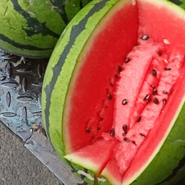 西瓜