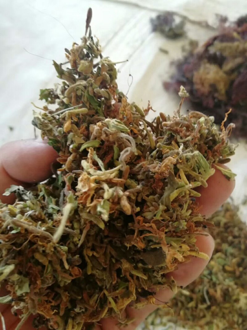 金银花