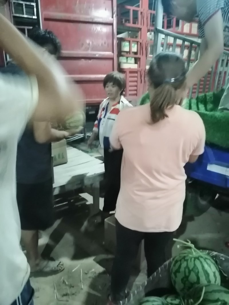 美都西瓜