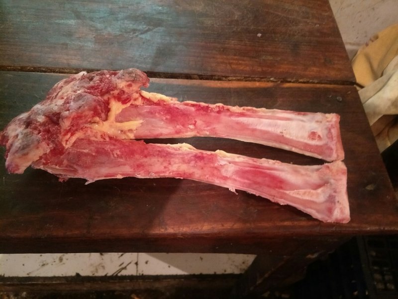 新鲜牦牛肉大量批发供应来自阿坝州牦牛肉