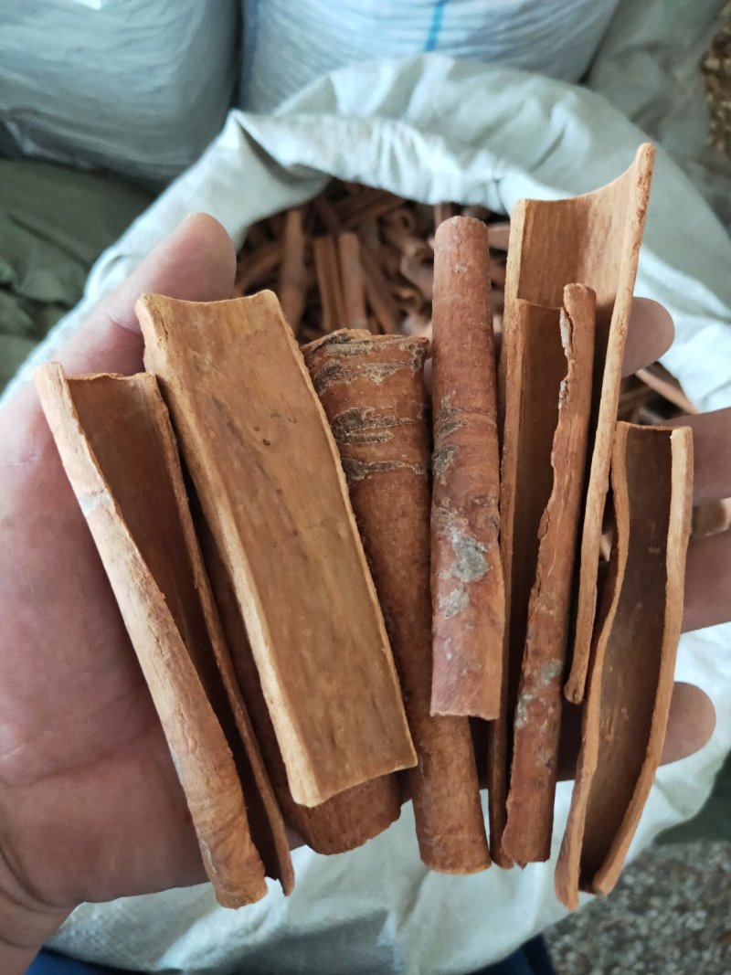 中药树皮类
