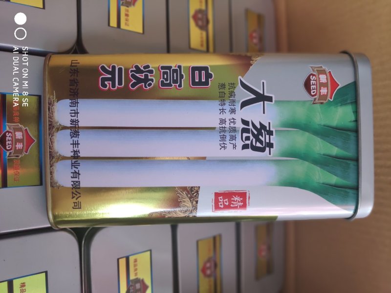 【牛商推荐】精品章丘长白大葱葱种，白高状元公司直供