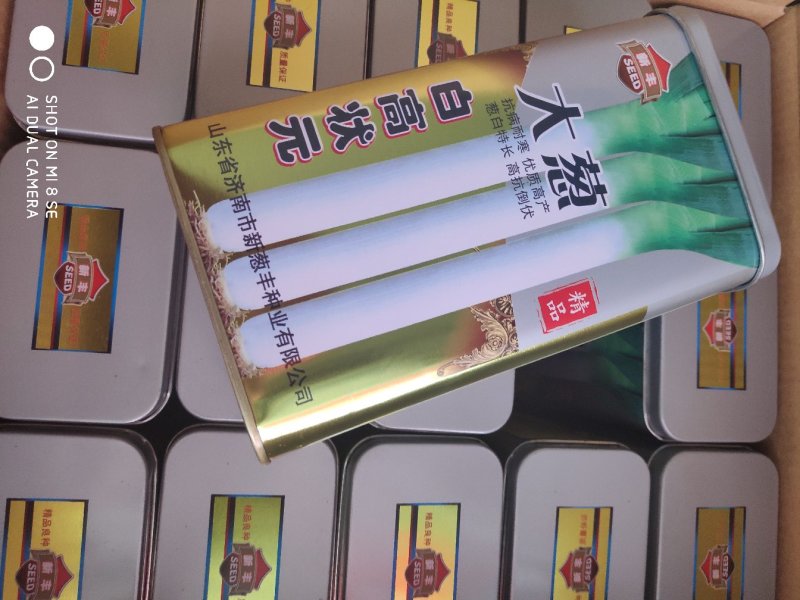 【牛商推荐】精品章丘长白大葱葱种，白高状元公司直供