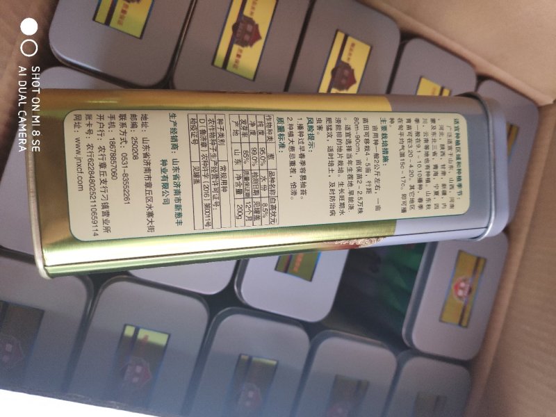 【牛商推荐】精品章丘长白大葱葱种，白高状元公司直供