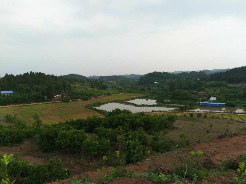 鱼塘出租