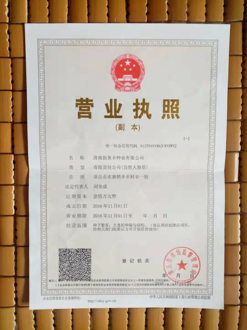 【牛商推荐】精品章丘长白大葱葱种，白高状元公司直供