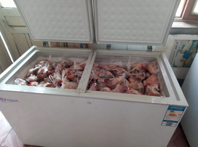 乳鸽，原粮乳鸽，各种规格齐全，饭店烧烤店熟食店专用。