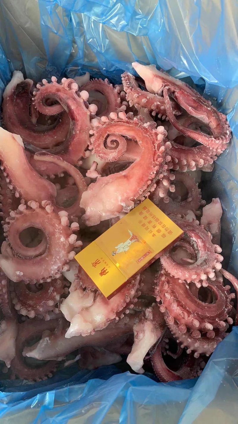 广西北海北部湾大章鱼须，深海深鲜。
