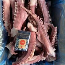 广西北海北部湾大章鱼须，深海深鲜。