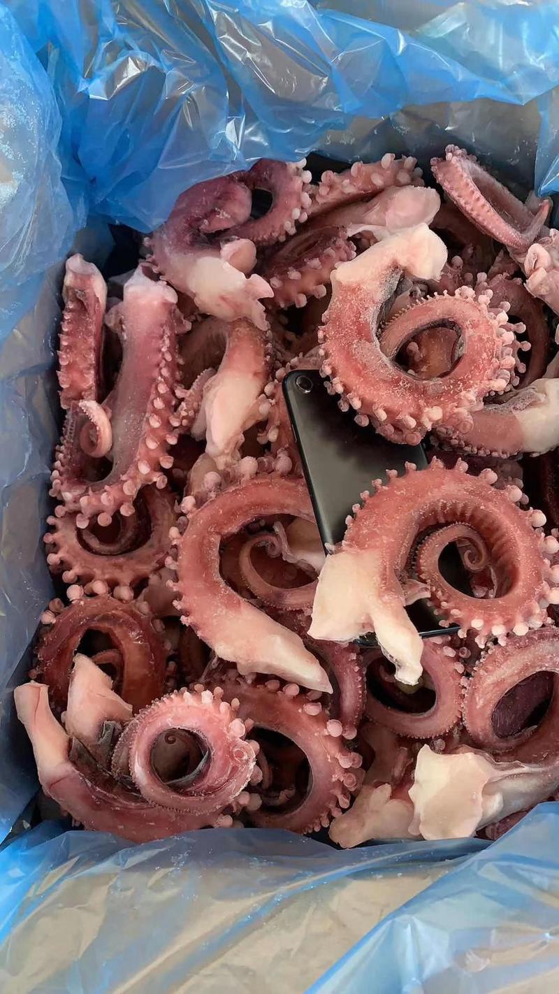 广西北海北部湾大章鱼须，深海深鲜。
