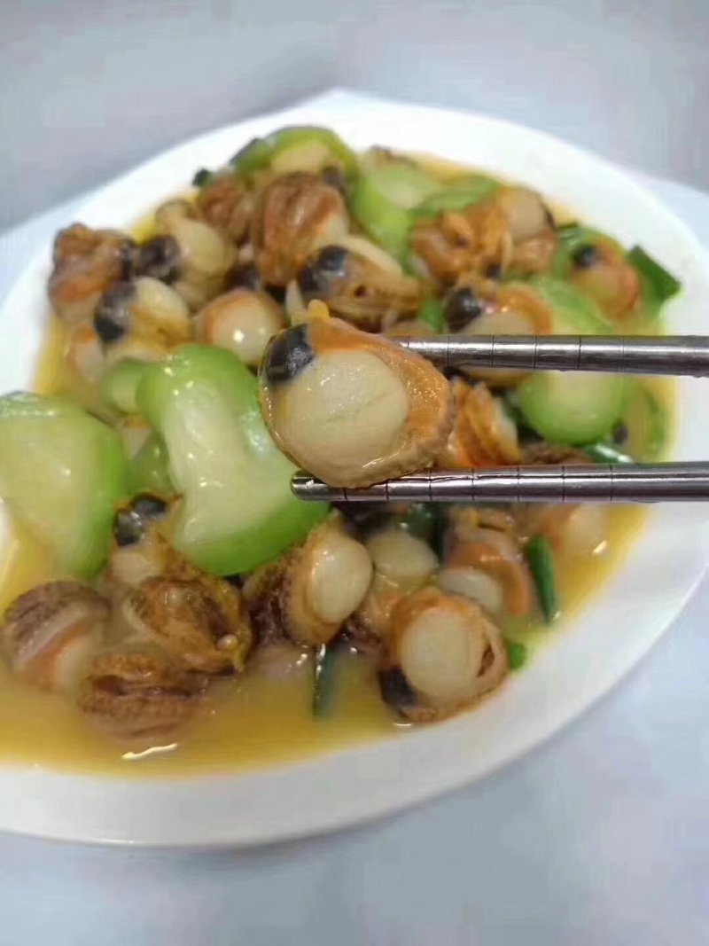 白扇贝螺肉