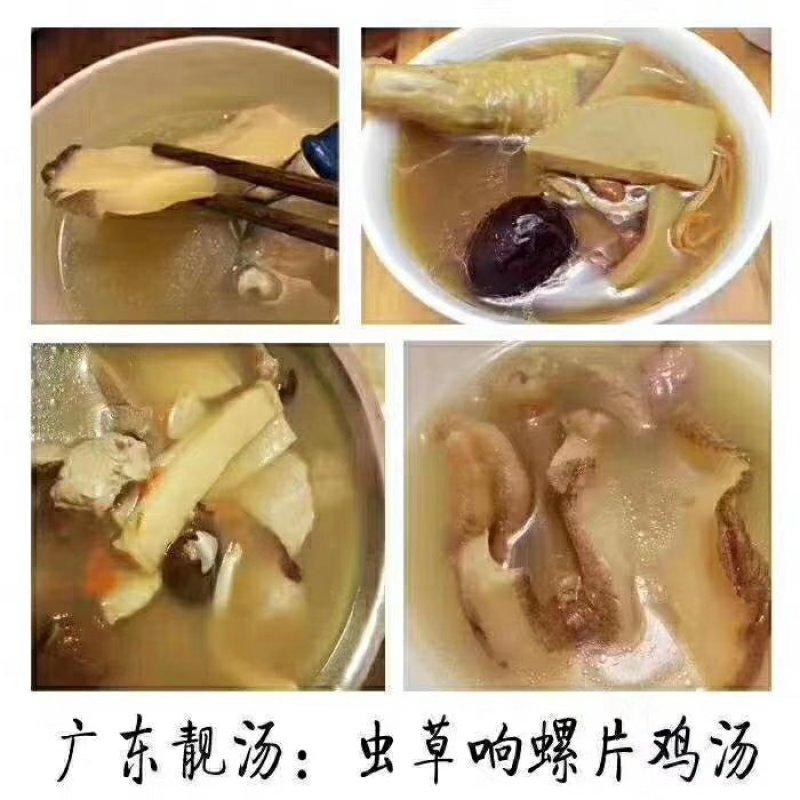 响螺片