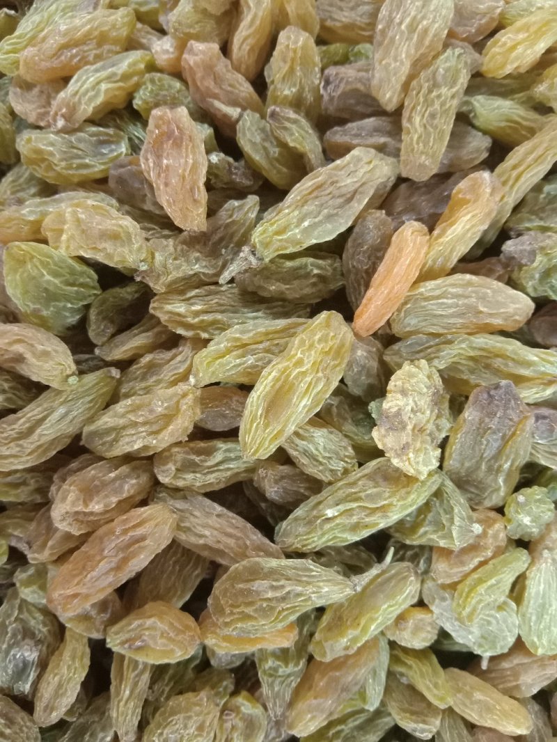 香妃王葡萄干爷爷级别