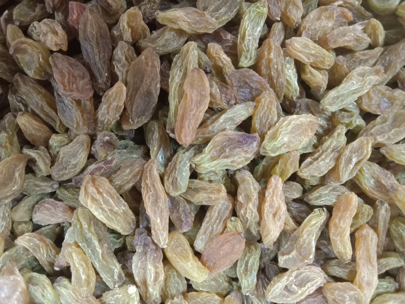 香妃王葡萄干爷爷级别