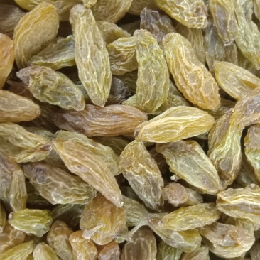 香妃王葡萄干爷爷级别