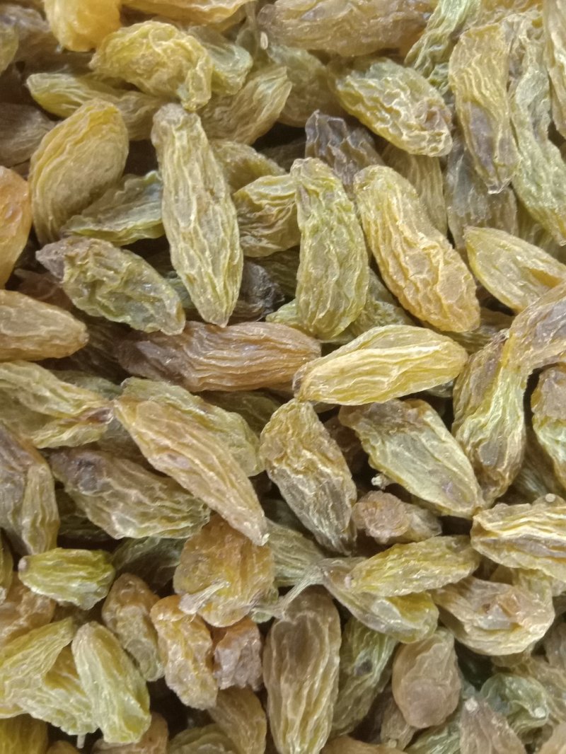香妃王葡萄干爷爷级别