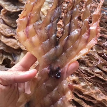 章鱼干