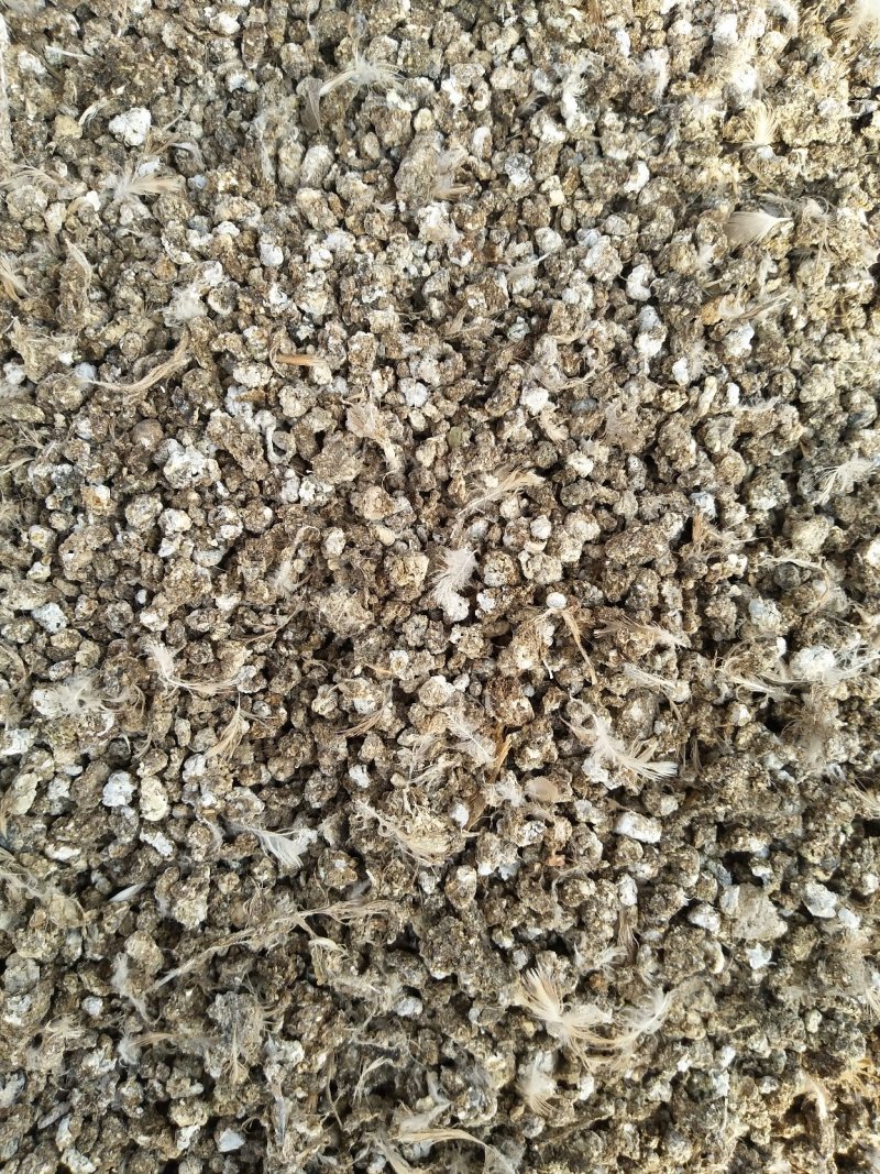 鹌鹑粪颗粒鹌鹑粪大量干鹌鹑粪颗粒粪颗粒鹌鹑粪颗粒鹌鹑粪干