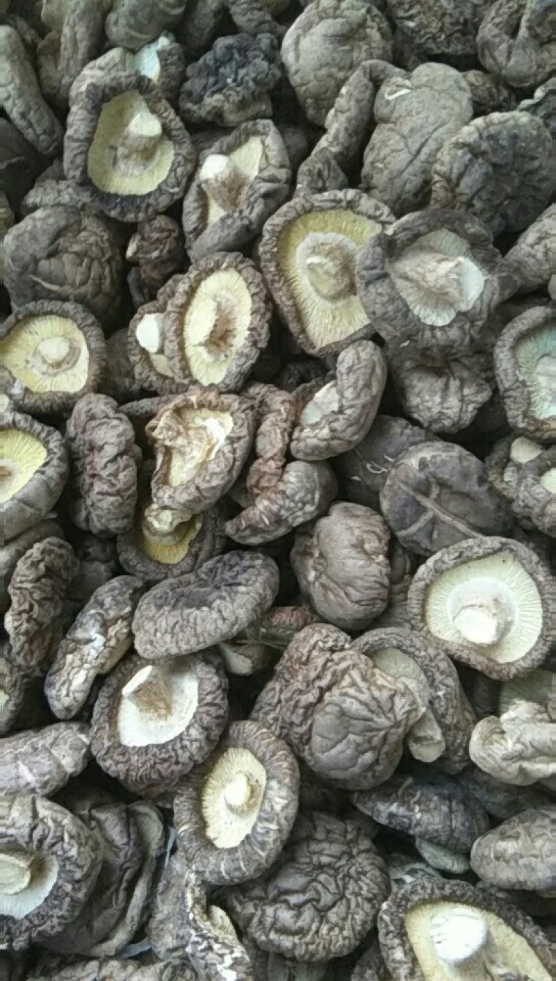产区直销各种规格干香菇，形好肉厚，颜色漂亮，香味浓，