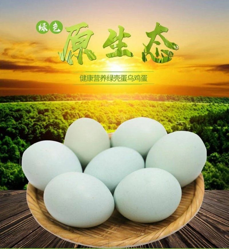 鸡蛋农户散养绿壳鸡蛋现捡现发产地无公害认证现捡现发